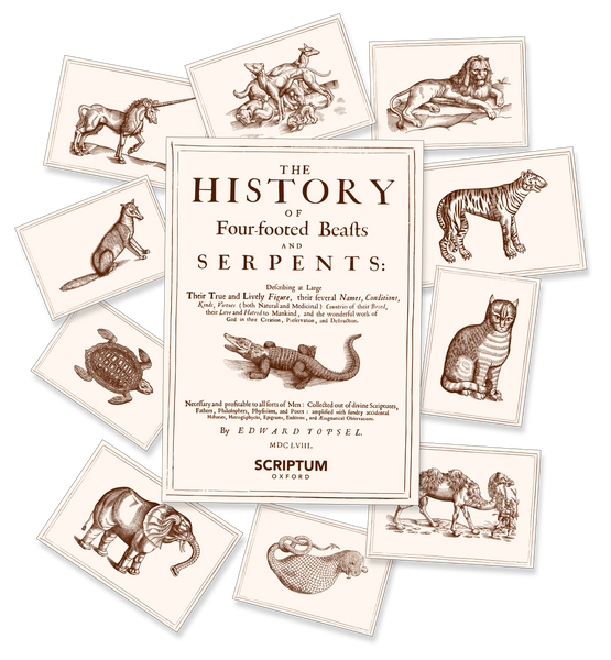 The History of Four-footed Beaſts and Serpents Card Set
