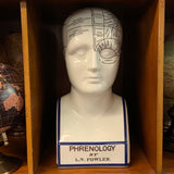 Phrenology Head