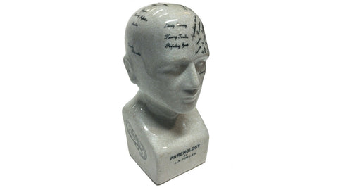 Small Phrenology Head