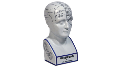 Phrenology Head