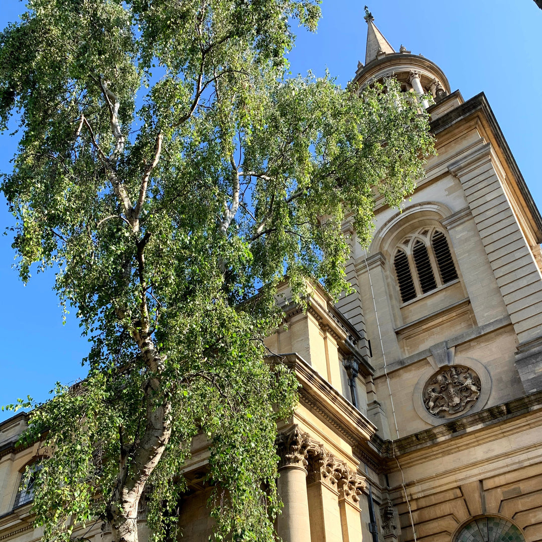 Headington Stone - The Colour of Oxford