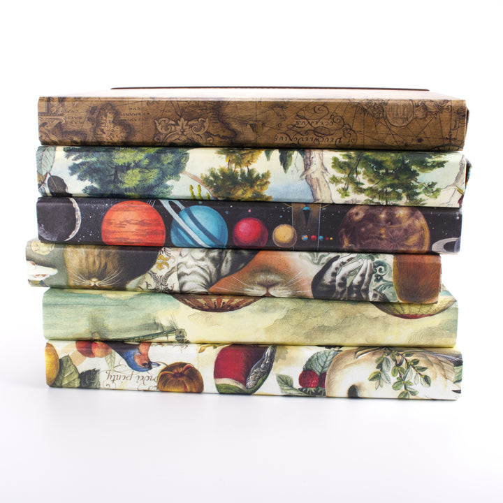 Bomo Art Box File
