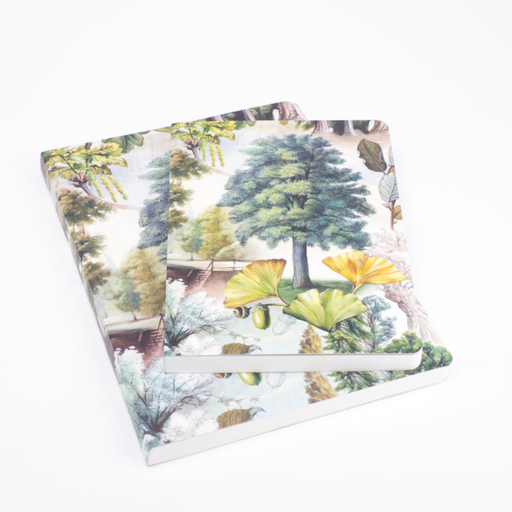 Bomo Art Mysterious Life of Trees Notebook