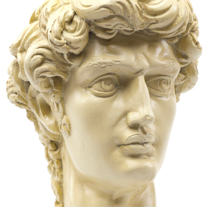 Michelangelo's David Head Sculpture