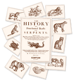 The History of Four-footed Beaſts and Serpents Card Set