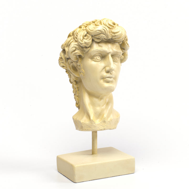 Michelangelo's David Head Sculpture