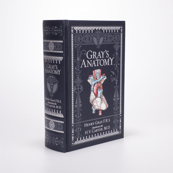 Scriptum Anatomy Gray’s Anatomy – Scriptum Fine Stationery Oxford