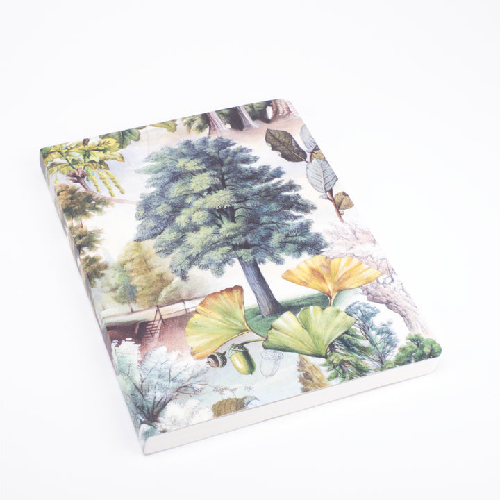 Bomo Art Mysterious Life of Trees Notebook