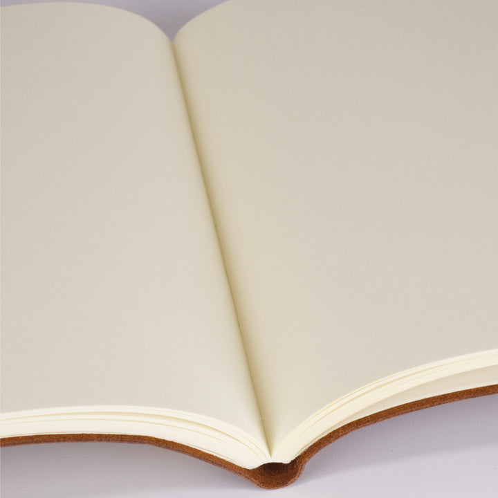 Medusa Journal