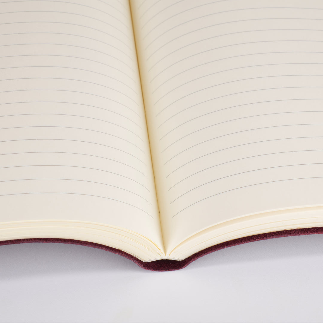 New Zakria Journal