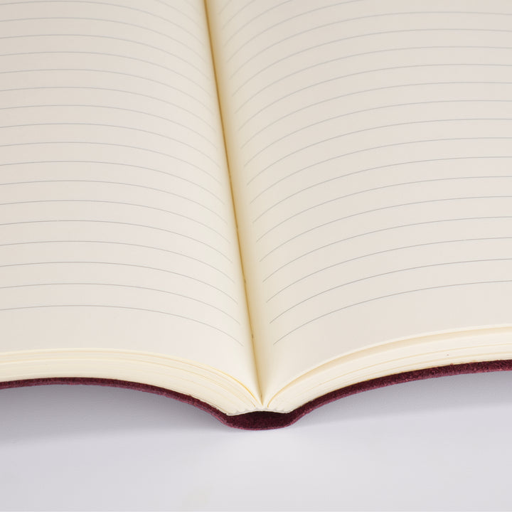 New Zakria Journal