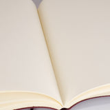 New Zakria Journal