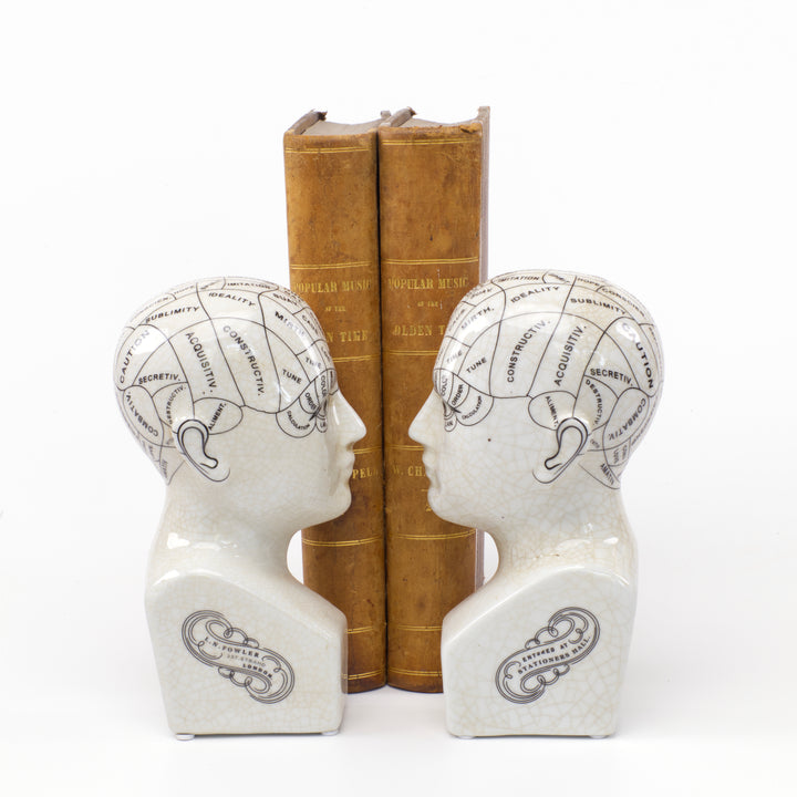 Phrenology Head Bookends