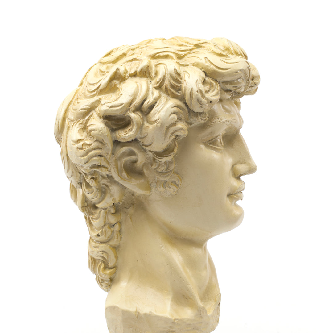 Michelangelo's David Head Sculpture