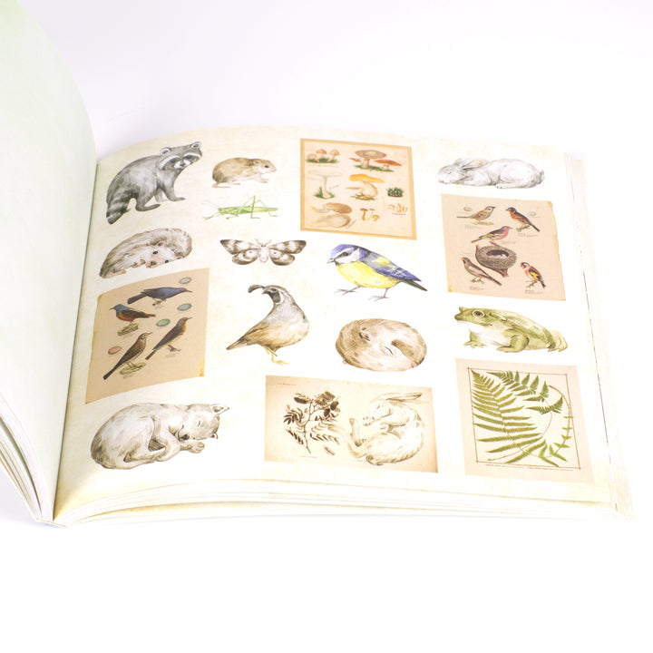 Ephemera Sticker Books