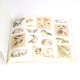 Ephemera Sticker Books