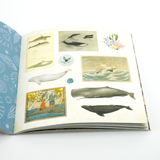 Ephemera Sticker Books