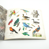 Ephemera Sticker Books