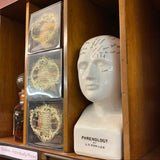 Small Phrenology Head