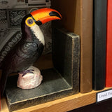Cast Iron Toucan Bookends