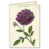 Cavallini Boxed Notecards - Botanical sample card