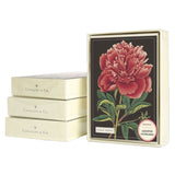 Cavallini Boxed Notecards - Botanical