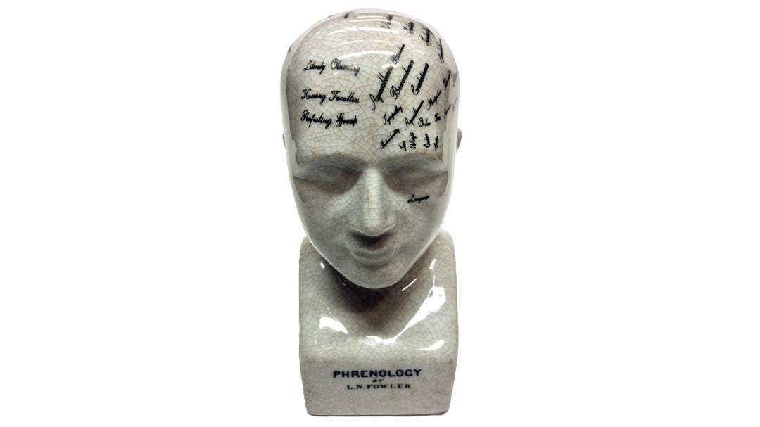 Small Phrenology Head
