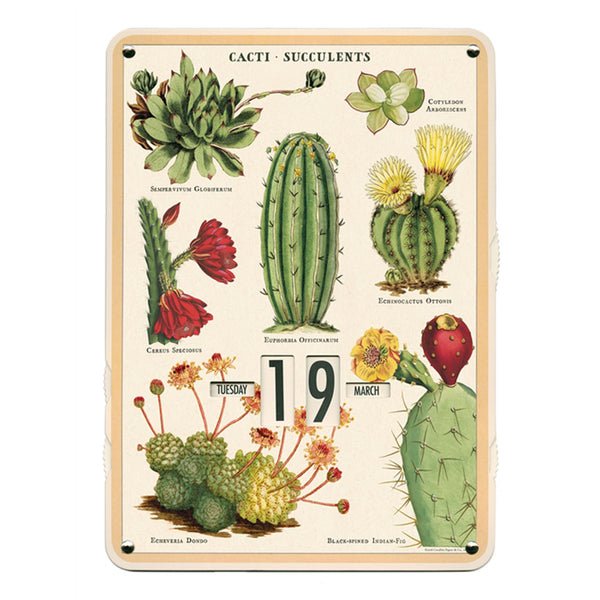 Succulents Perpetual Calendar
