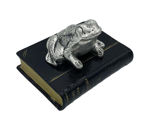 Toad perched on Faux Book Paperweight