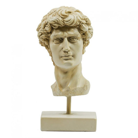 Michelangelo's David Head Sculpture