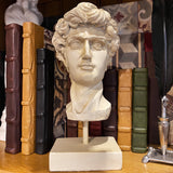 Michelangelo's David Head Sculpture